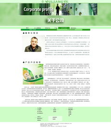 網(wǎng)頁設(shè)計模板 高效構(gòu)建專業(yè)網(wǎng)站的關(guān)鍵