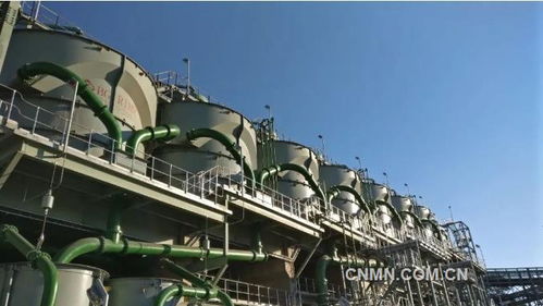 深化六個引領(lǐng)，建設(shè)一帶一路精品工程——礦冶集團南非PMC浮選廠總承包項目建設(shè)紀(jì)實